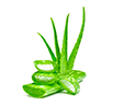 Aloevera