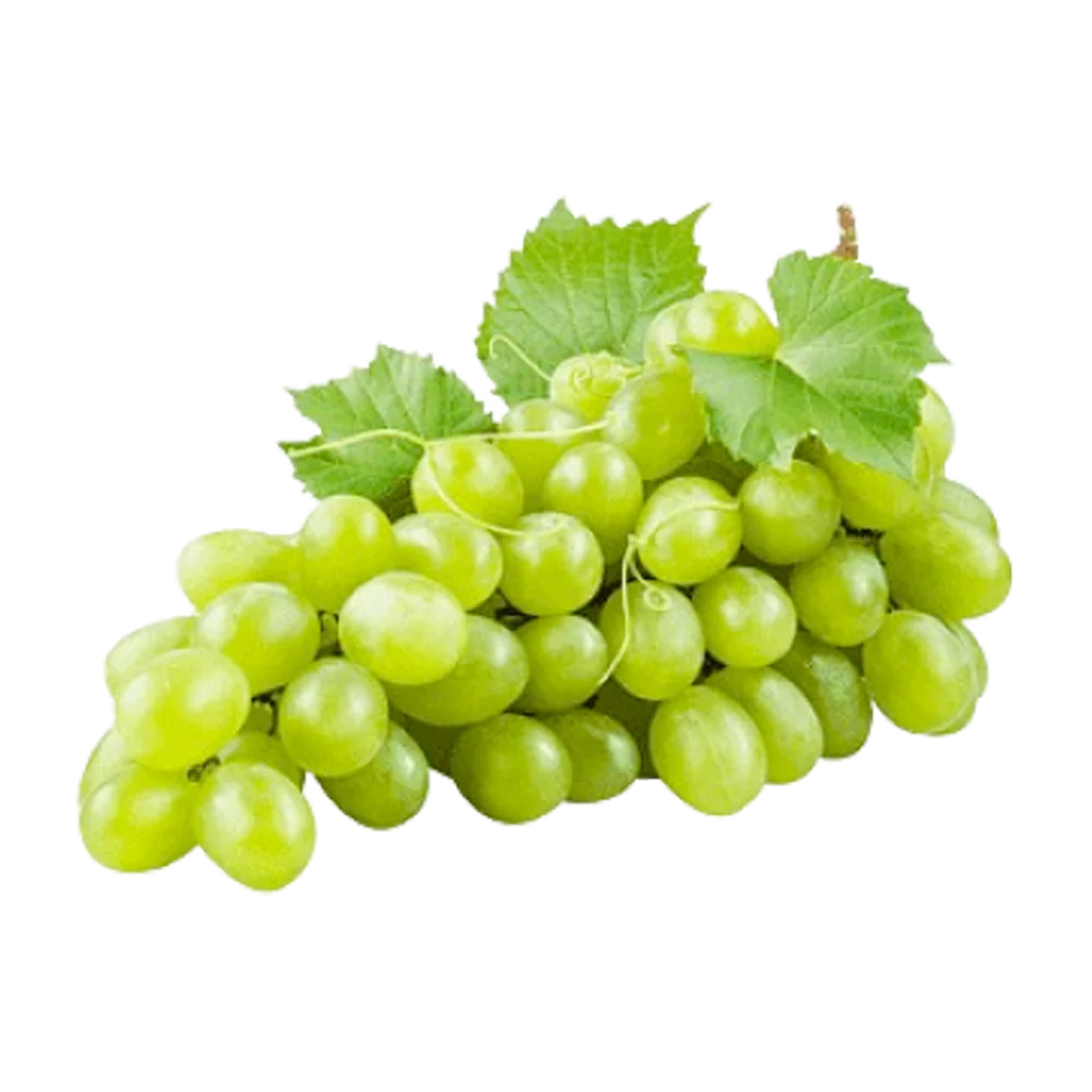 newgrape.webp__PID:cdc614a8-86ca-495b-99b0-a472ea5cf5ec