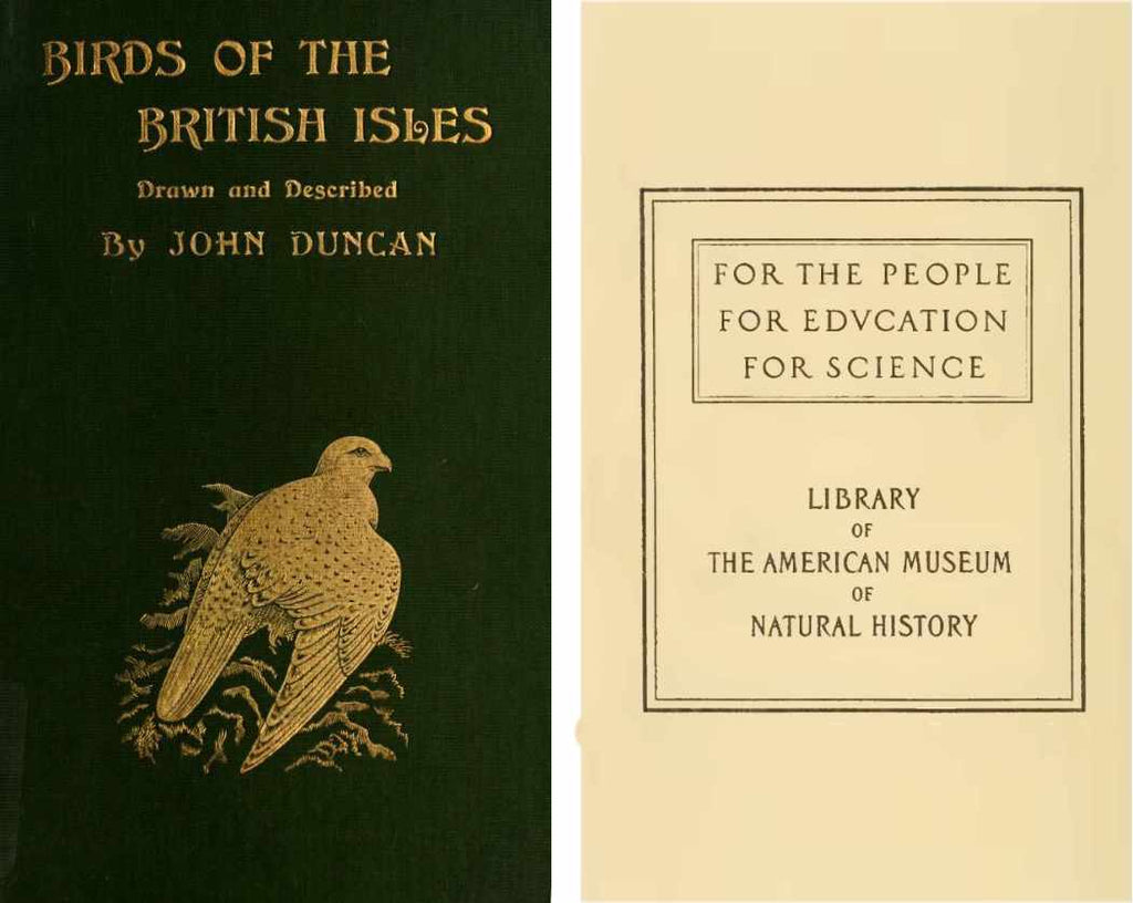 Birds of the British Isles - An early bird book featuring the historical illustrations of John Duncan.