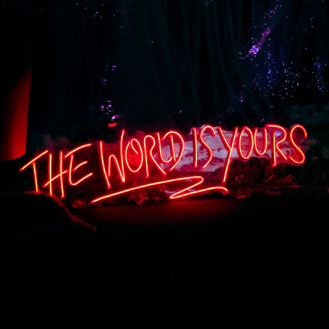 The World Is Your Led Neon Sign Light