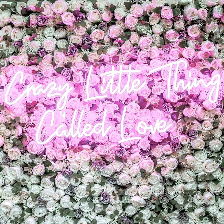 Crazy little thing called love wedding neon sign backdrop