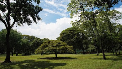 メデジン植物園_Jardín Botánico de Medellínの画像