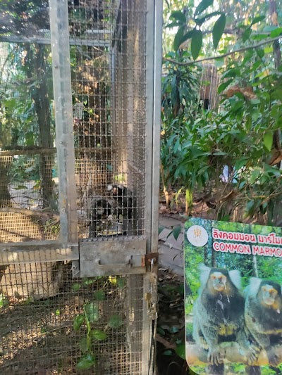 パタヤエレファントビレッジ_Pattaya Elephant Villageの画像