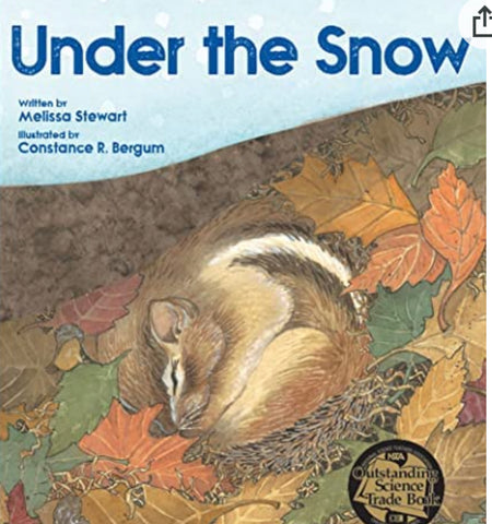 Under the Snow Book 
