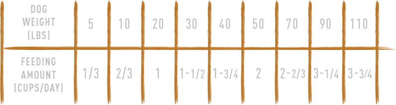 cat nutrition weight size chart