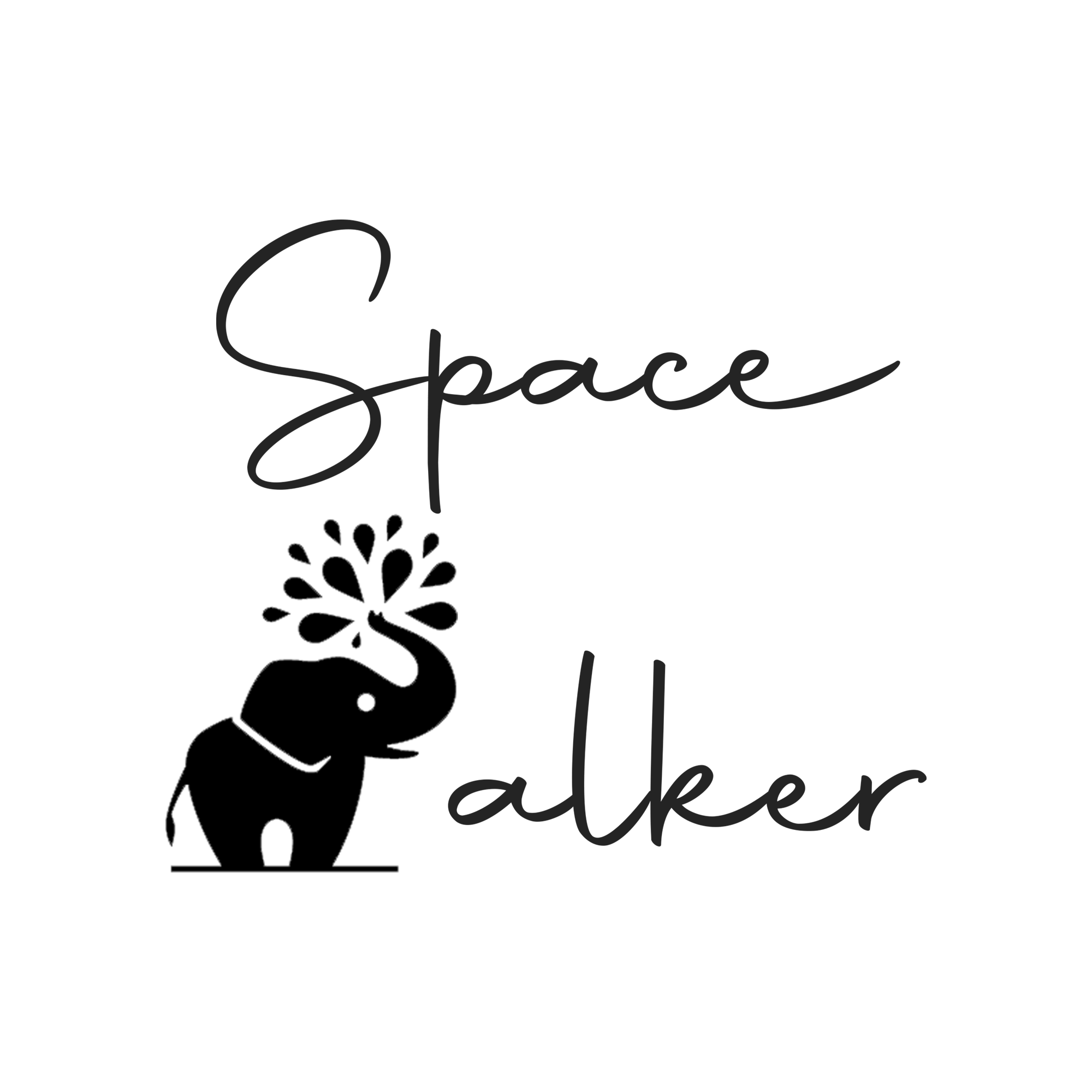 SpaceWalker Concept Store