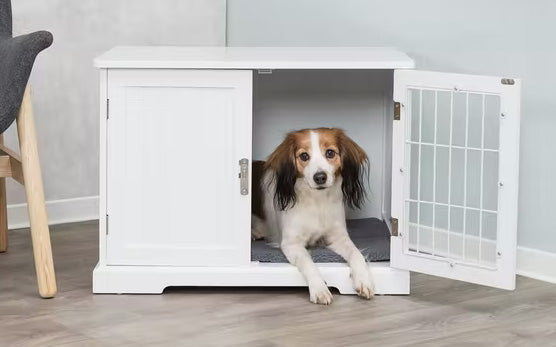 Brown and white dog resting in wooden dog crate