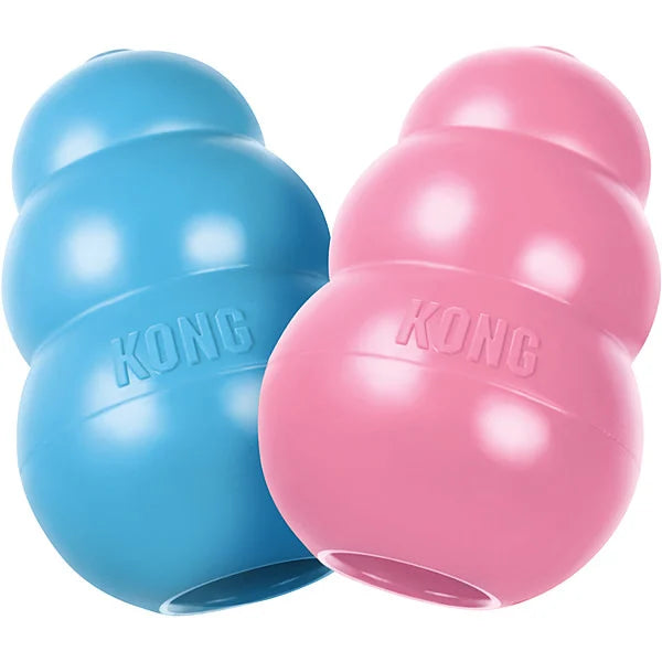KONG Puppy