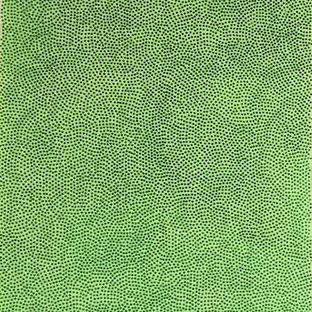 Tessuto Lycra Olografico Mystic Verde