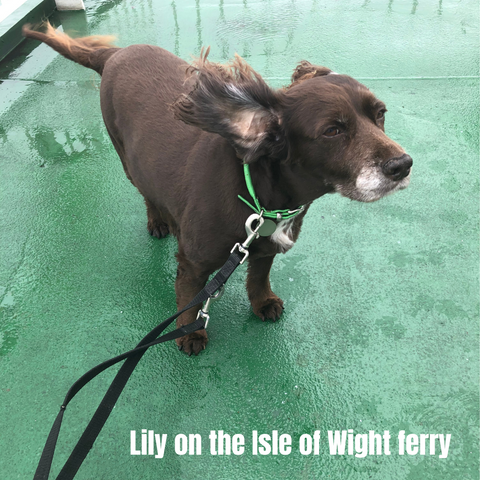 Isle of Wight Ferry