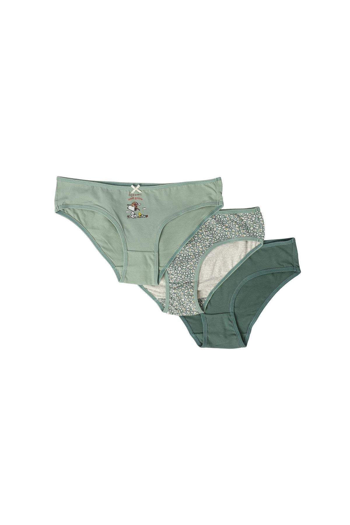 Pack of 3 Cotton Bikini Panties