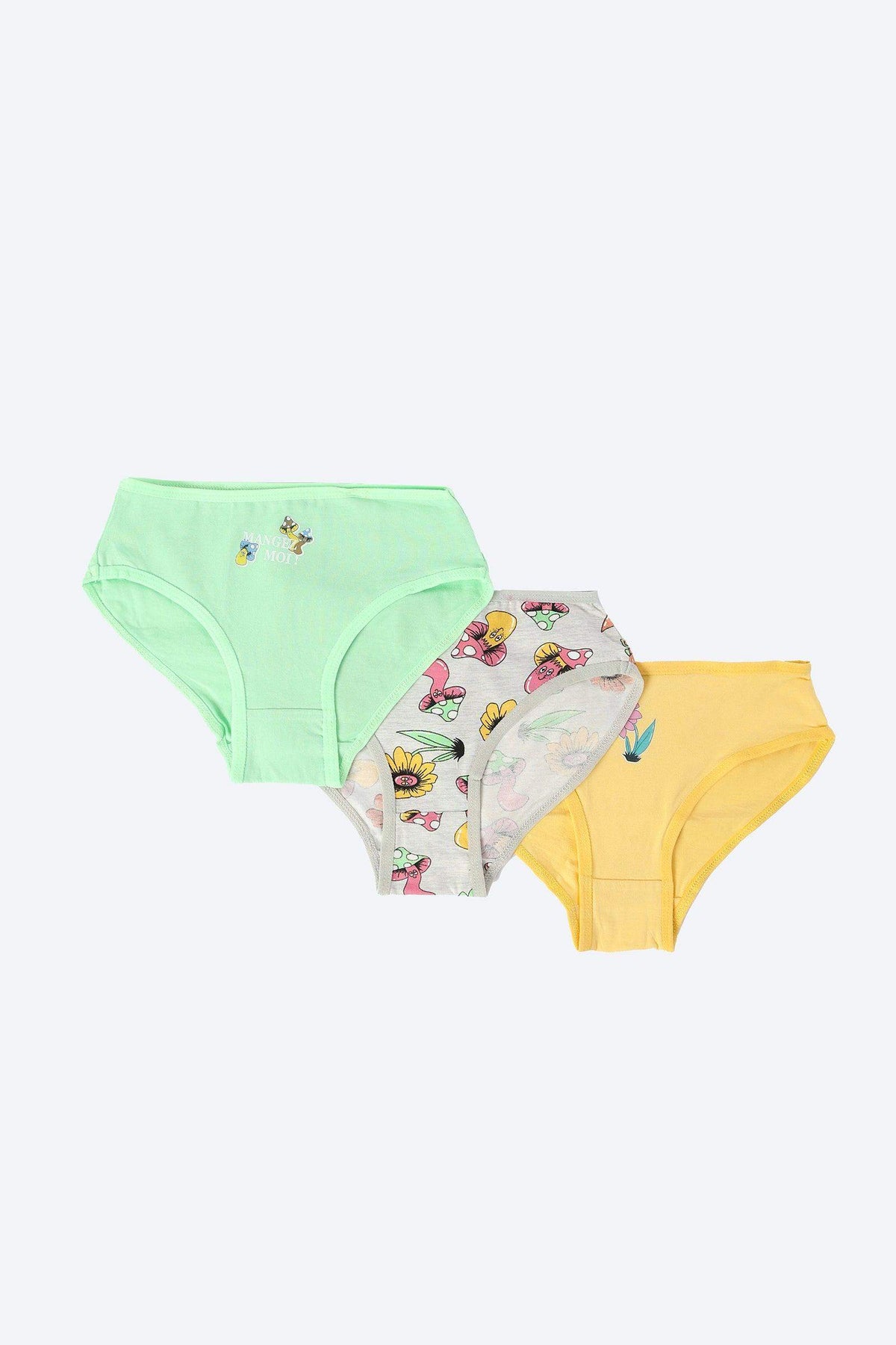 Pack of 5 Colored Brief Panties