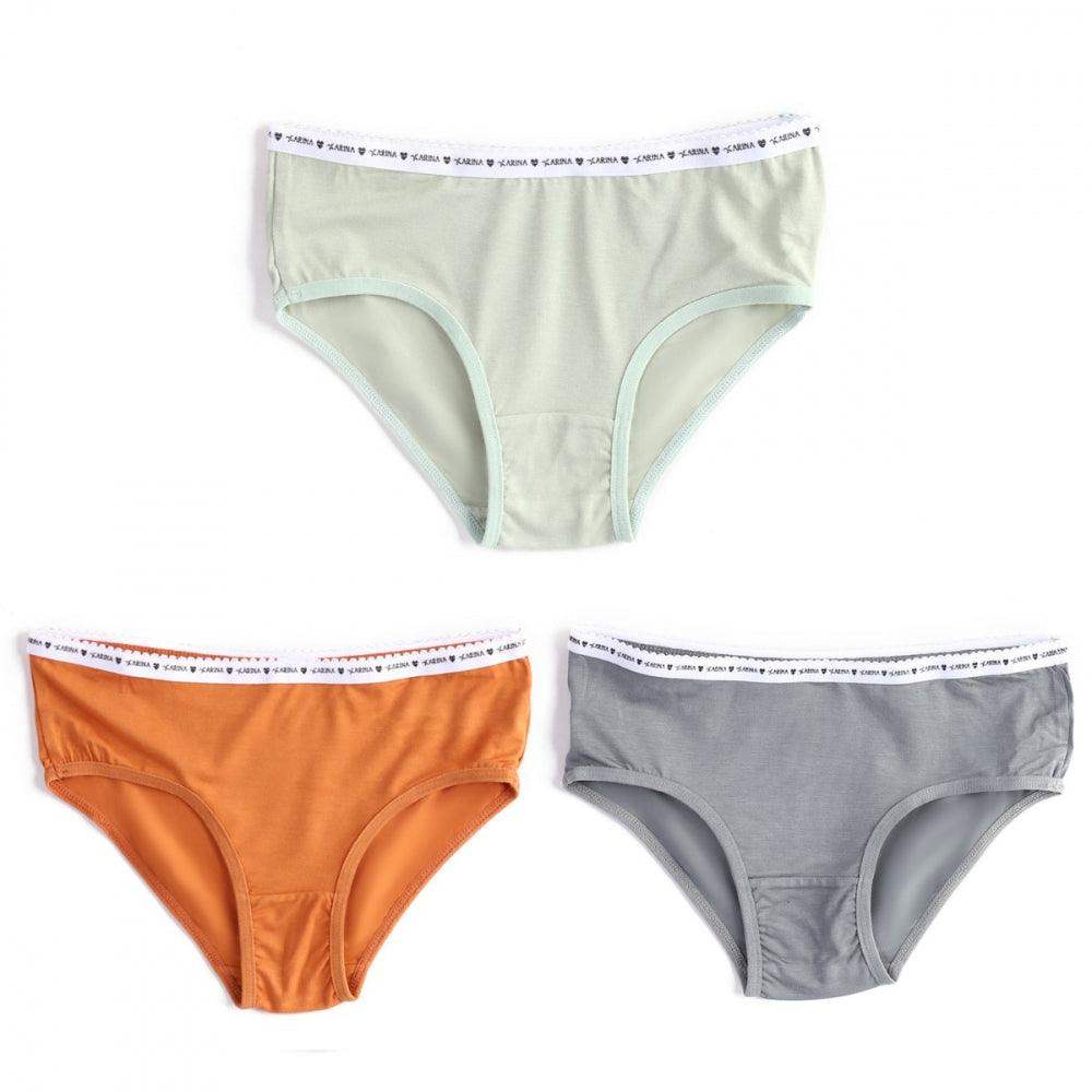 Pack of 3 Colored Brief Panties