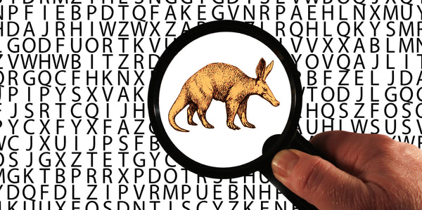 Mnemonic of an Aardvark