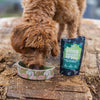 Chicken Bone Marrow Broth