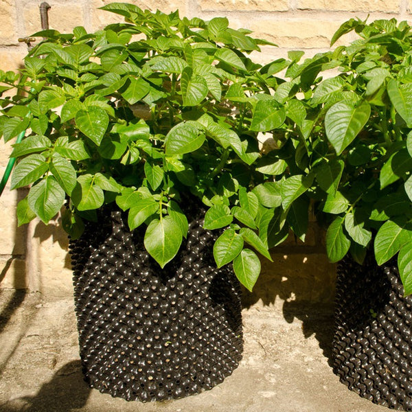 Superoots Air-Pot Air Pruning Garden Containers Product Review  