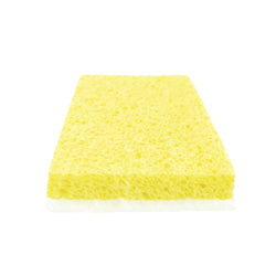 https://cdn.shopify.com/s/files/1/0616/1999/4775/products/0020_sponge-with-backing-pad-white_250x.jpg