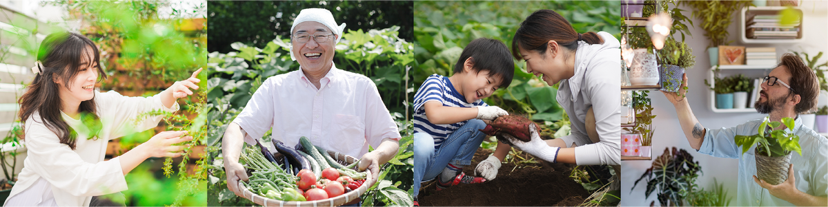 園芸を楽しむ人・農業を営む人・食に関する教育(食育)親子で芋掘り・インテリアグリーンを楽しむ人