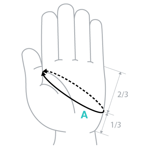 Body Measurement for Gloves
