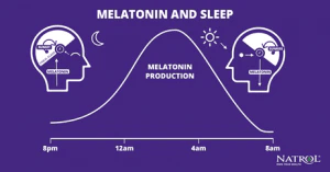 Melatonin Production by Hour Graphic