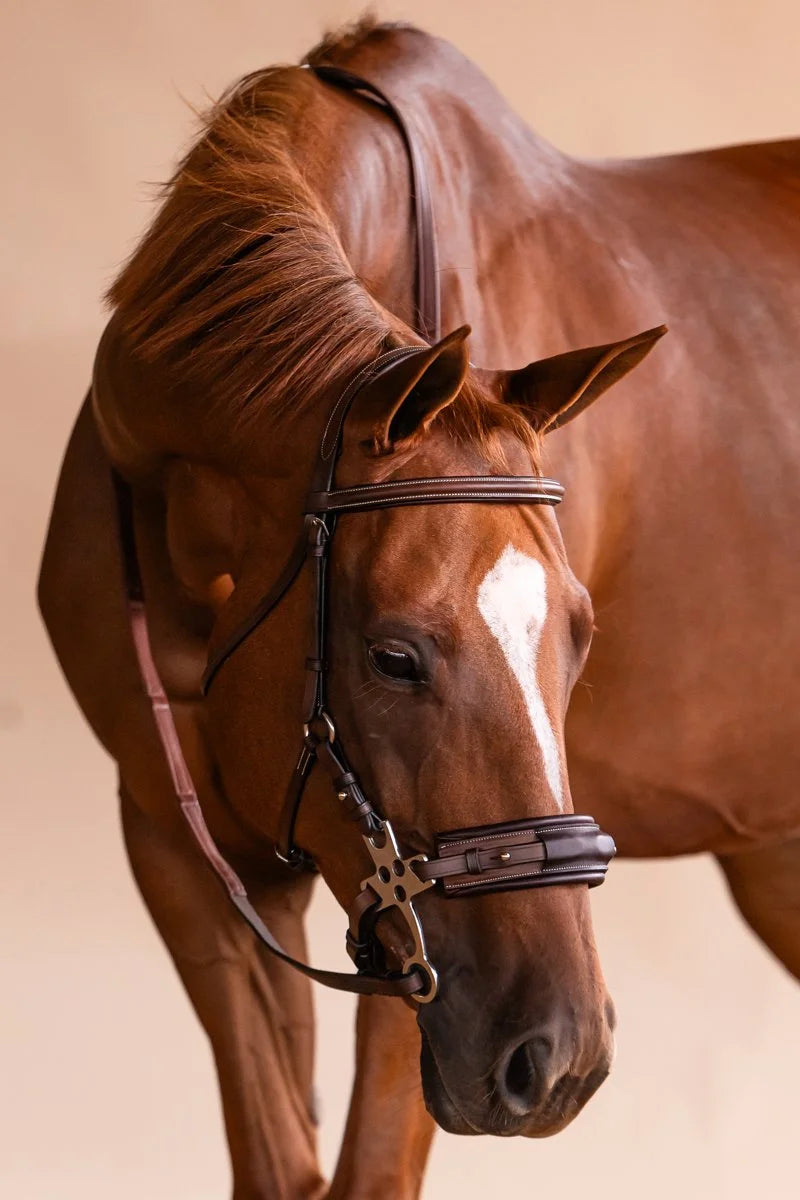 Arc de Triomphe® Hackamore Bridle