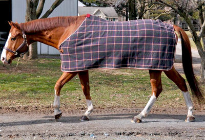 Tough1 Soft Fleece Blanket Liner/Cooler with Leg Straps