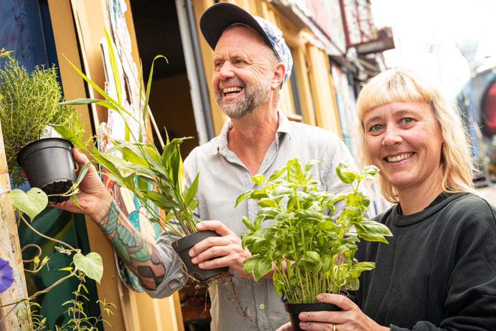 kammergold, vegane fertiggerichte