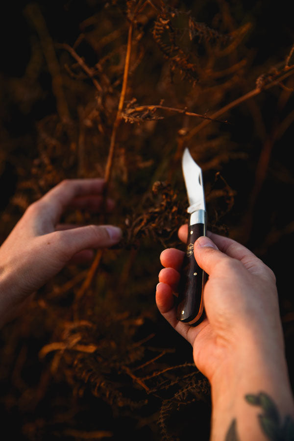 joseph rodgers british made pocket knife rosewood