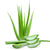 Aloe Vera SunSootha Ingredient