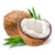 Coconut Derived Ingredient SunSootha
