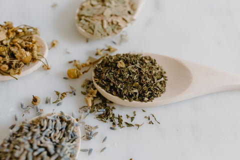 Different types of dried tea leaves in wooden spoons