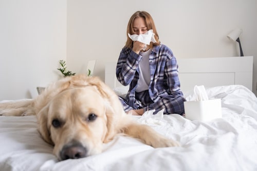 Picture of dog and girl with dander allergy
