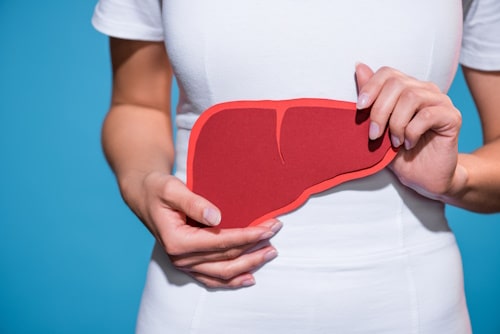 Person in white holding kidney replica