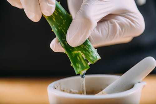 Person making mask wth aloe vera