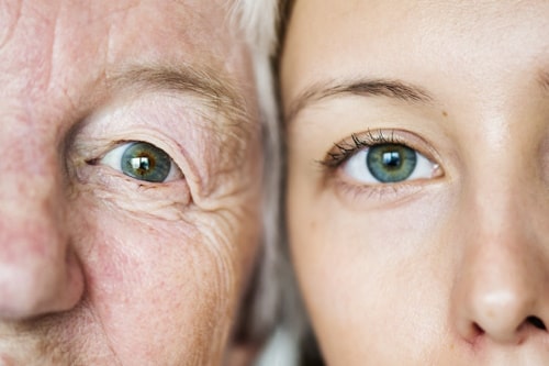 Family generation green eyes genetics
