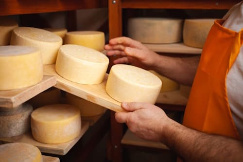 Cheese wheels being stored