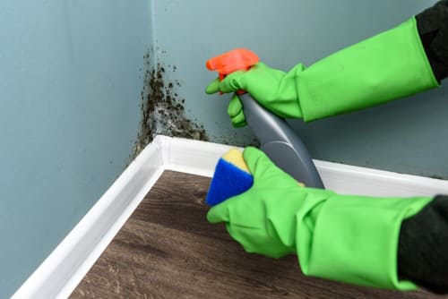 Person with green gloves cleaning molds on corner of home