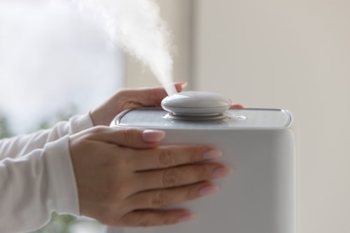 Woman hands holding a humidifier