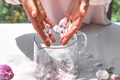 Close up of person making rose water