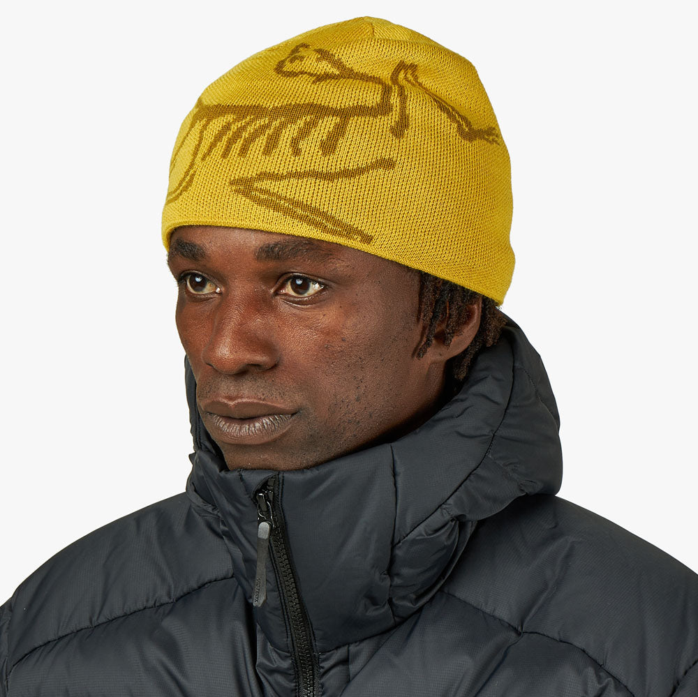 ARC´TERYX アークテリクス BIRD HEAD TOQUE ビーニー 割引で購入 メンズ