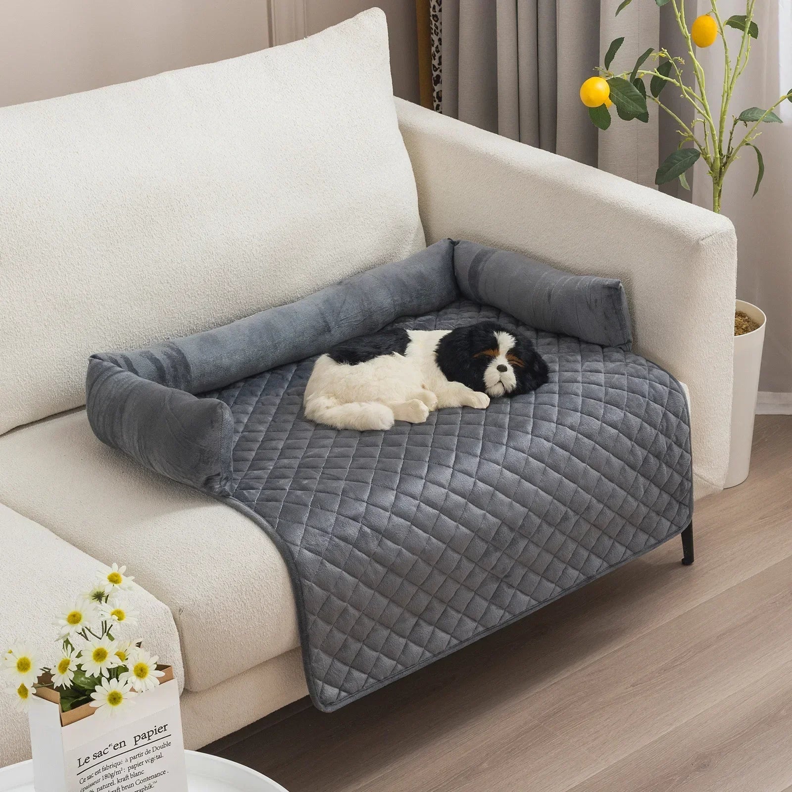 Housse de coussin pour chien imperméable posée sur un canapé gris