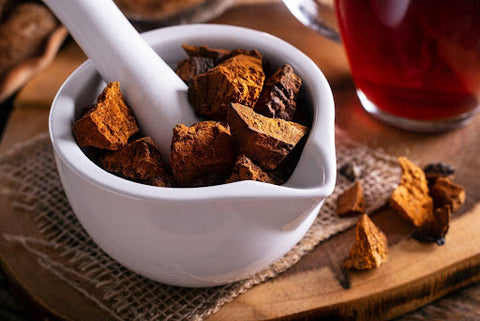Chaga into your daily routine