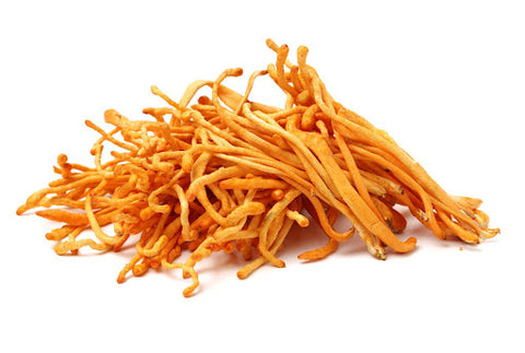Cordyceps Interacts With Your Energy Production and Utilization