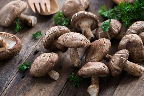 Benefits of Medicinal Mushrooms