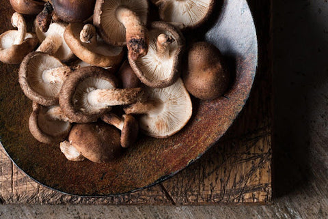 considerations of shiitake mushrooms