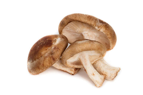 shiitake mushrooms compare