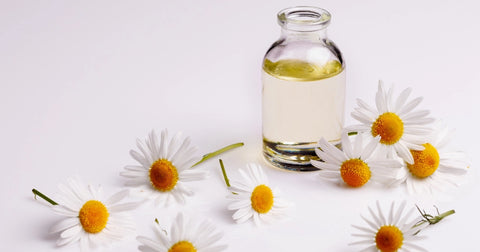 Chamomile essential oil