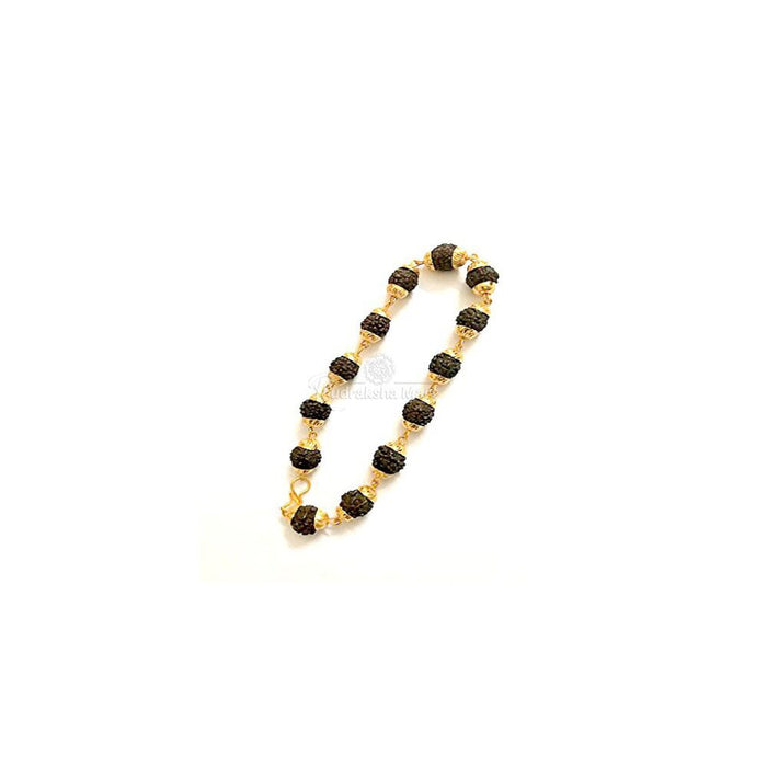 Buy Rudraksha Mart Gold Plated 5 Mukhi Java Black Rudraksha Bracelet  Original for Men and Women Elastic Band Online at Low Prices in India   Amazonin