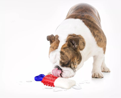 Ice-filled bite toy for dogs