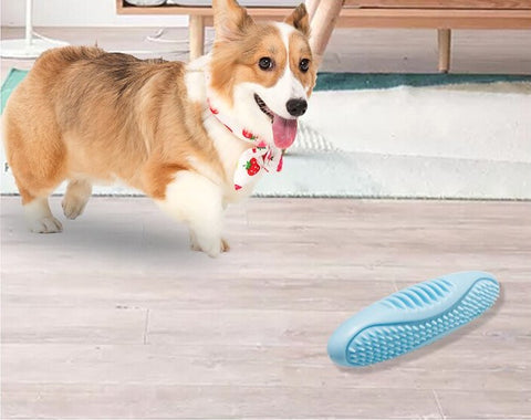 Interactive bite toy for dogs